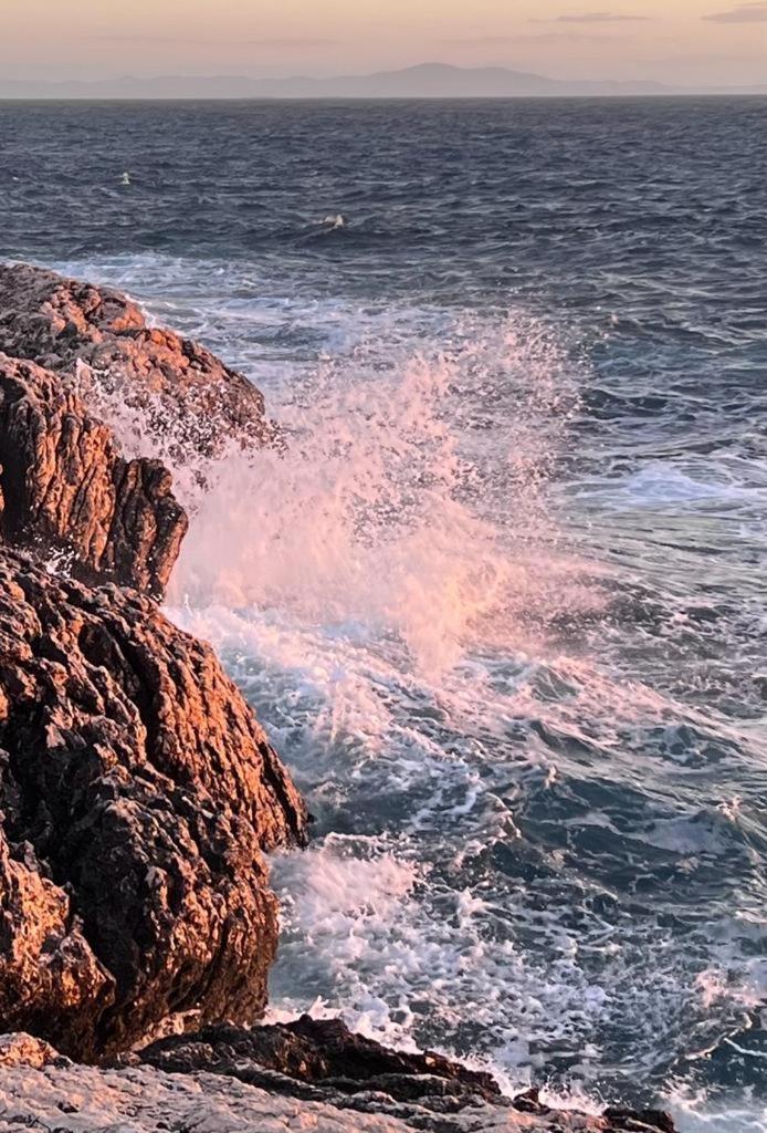 B&B 366 Vrboska Exteriér fotografie